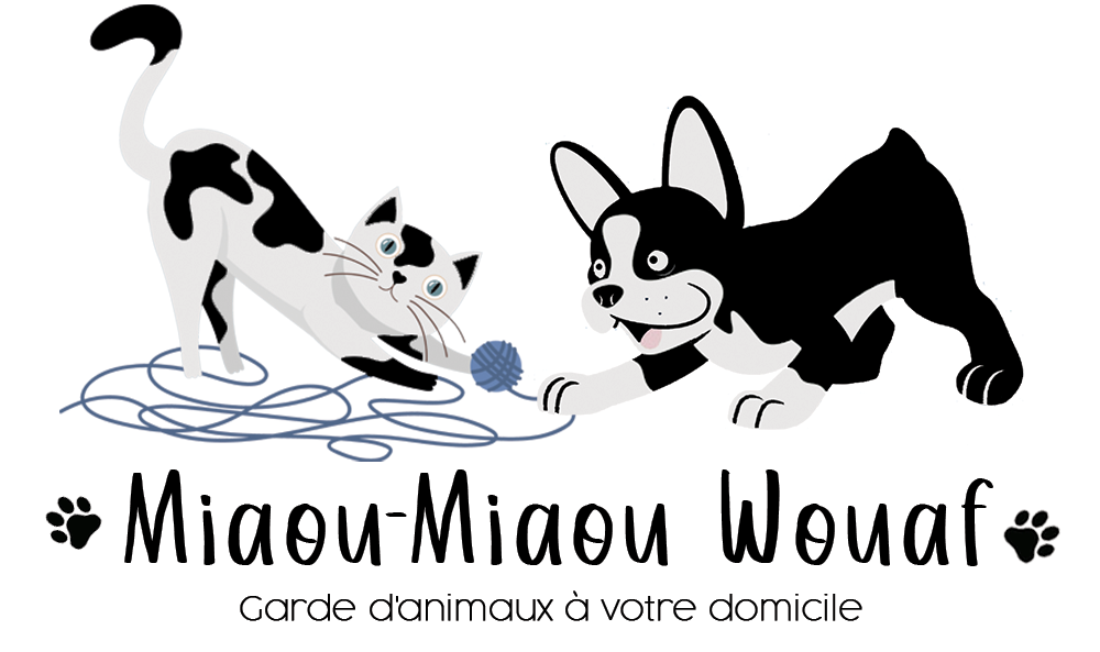 Miaou-Miaou Wouaf